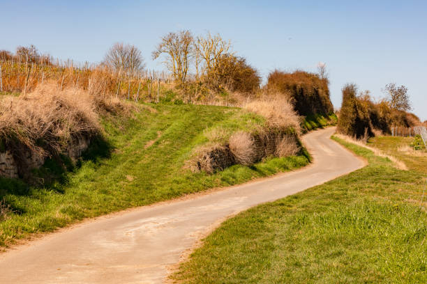 istock A farm track curves between fields up a slope to the horizon 1386894165