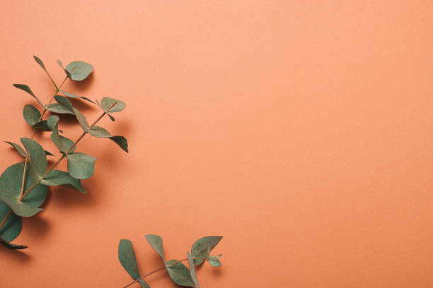 istock Creative layout made of green leaves on pastel brown orange background. Minimal spring concept with copy space. 1386896849