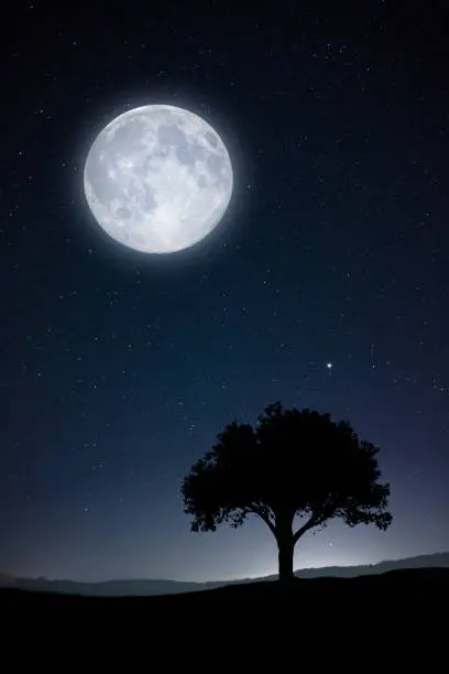 Photo of Full moon
