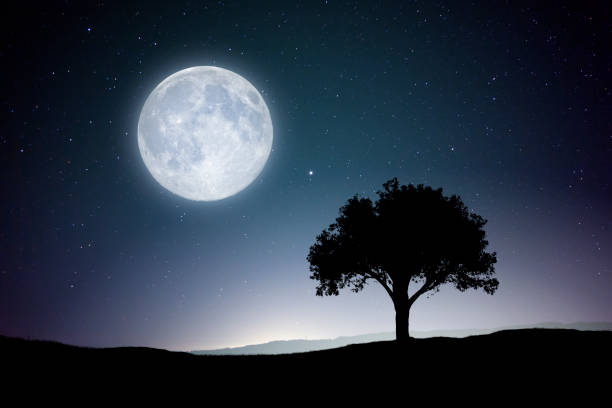 풀문 - moon moon surface full moon night 뉴스 사진 이미지
