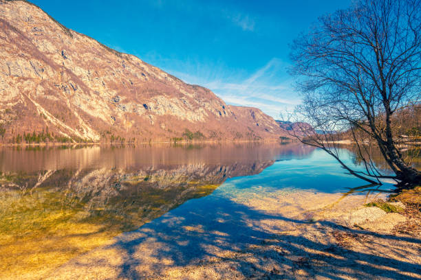 górskie jezioro z pięknym odbiciem. jezioro bohinj wczesną wiosną. park narodowy triglav, słowenia - lake bohinj zdjęcia i obrazy z banku zdjęć