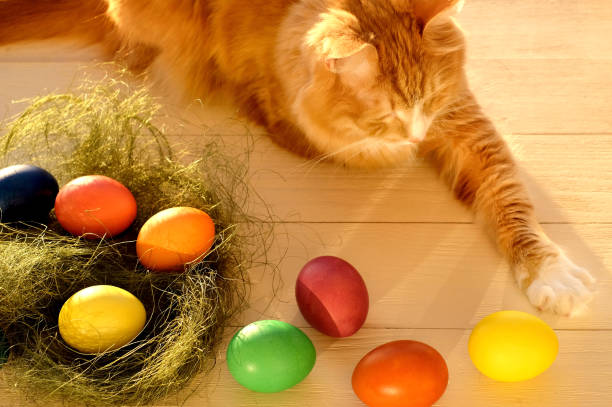 istock Easter eggs and ginger cat on wooden background with sunlight 1386897515