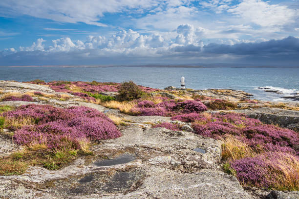 istock View to the island Karingon in Sweden 1386901735