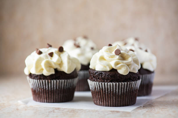 Rich chocolate cupcakes with whipped cream frosting and chocolate chips.