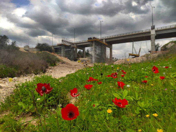 viaduct en construcción - florida weather urban scene dramatic sky fotografías e imágenes de stock