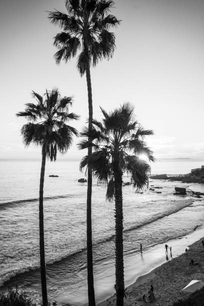 istock Palm trees at the beach 1386905411