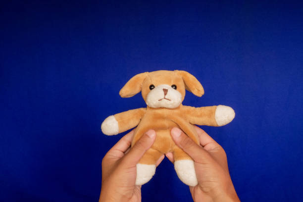 istock a man's hands holding a stuffed puppy 1386905628