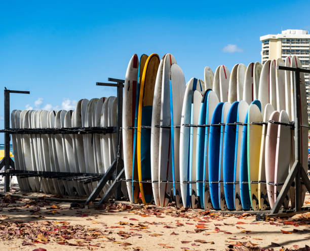 istock Multicolored surfboards standing on a board rack on a Hawaiian beach 1386905706