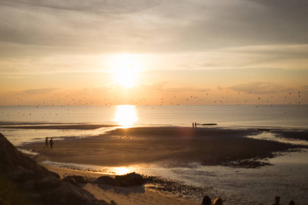 Sunset over Cape Cod Bay with seagulls flying above and people walking in Brewster, Massachusetts, United States