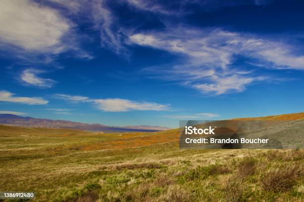 National Park With Blooming Poppy Flowers Stock Photo - Download Image Now - Antelope Valley, California, Lancaster - California