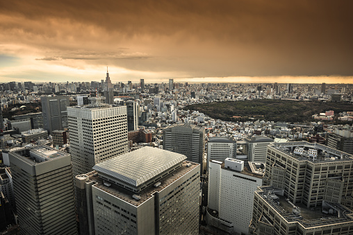 tokyo aerial view skyline