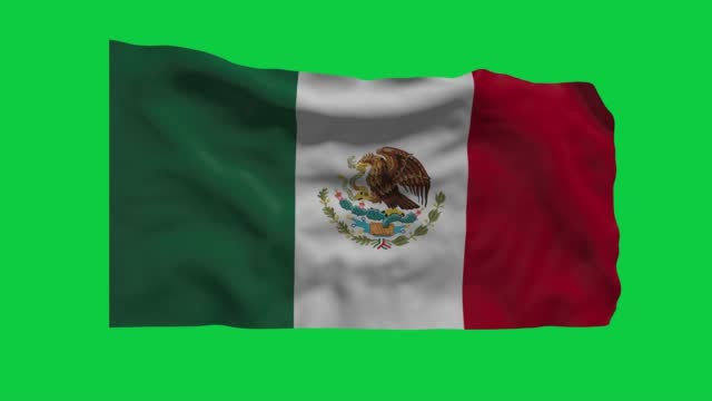Free Mexican flag Stock Video Footage 23499 Free Downloads