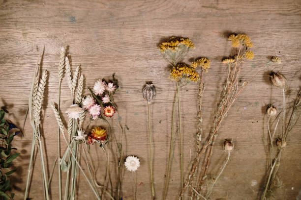 istock Colorful dried flowers 1386923560