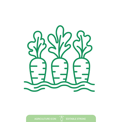 Simple Carrot Farming & Agriculture icon on a transparent base. The icon can be placed on any color background. The lines are editable. Contains vector eps file and high-resolution jpg,