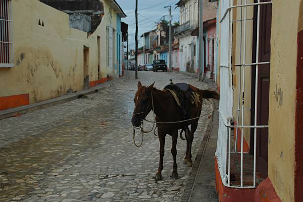 istock Horse in Cuban street 1386926214