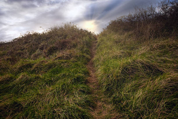 istock The road to the hill 1386927103