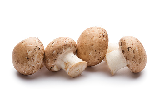 Culinary background with porcini mushrooms, wooden board and spices on a light gray background