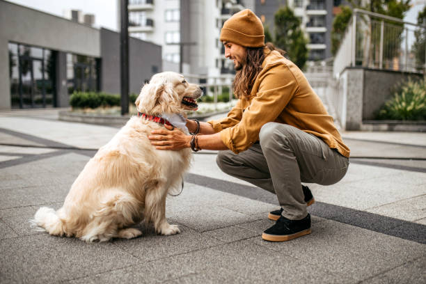 istock Man and dog playing at morning walk 1386938247