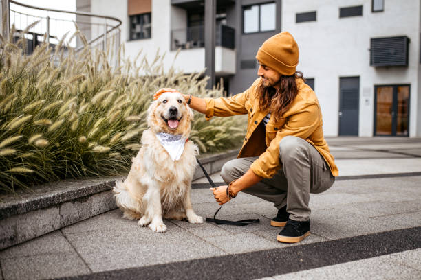 istock Man and dog playing at morning walk 1386938250