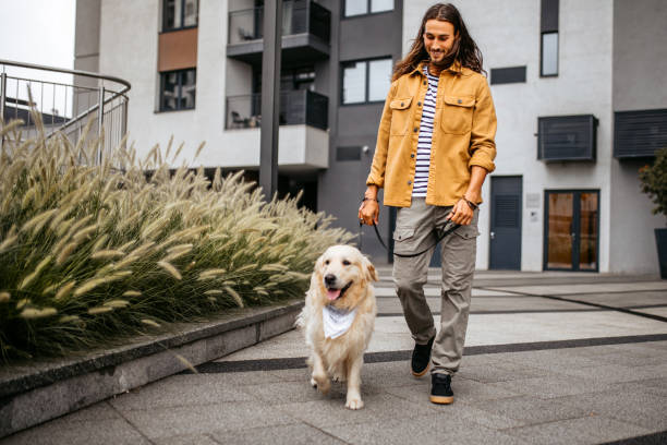 istock Young man walking his dog with a leash. 1386938259