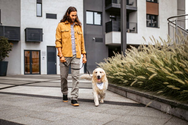 istock Young man walking his dog with a leash. 1386938287