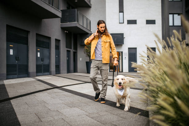 istock Young man walking his dog with a leash. 1386938288