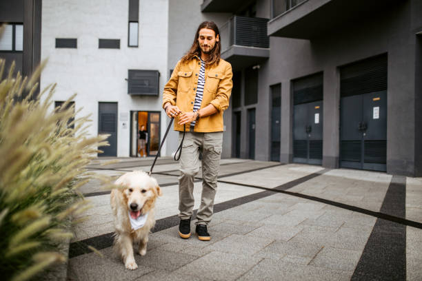 istock Young man walking his dog with a leash. 1386938319