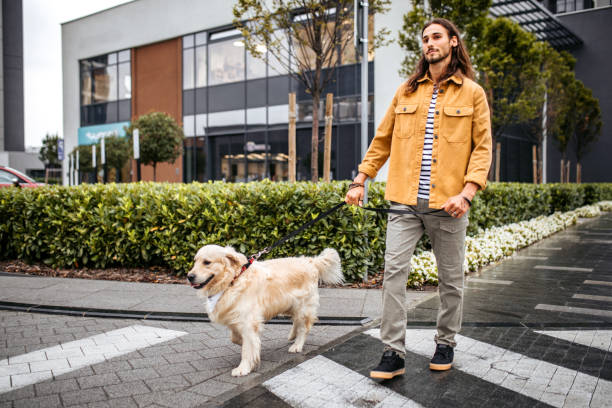 istock Man walking with dog on a rainy day 1386938328