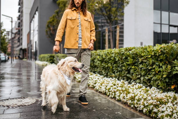 istock Man walking with dog on a rainy day 1386938357