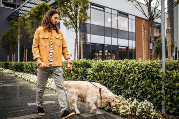 istock Man walking with dog on a rainy day 1386938940