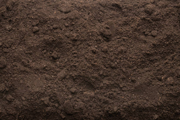 istock Black land for plant background. Top view. 1386939250