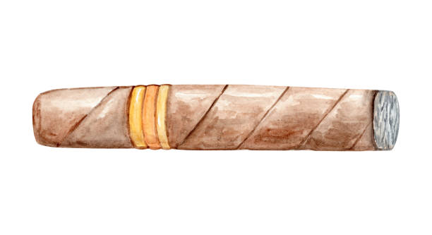 ilustraciones, imágenes clip art, dibujos animados e iconos de stock de acuarela dibujada a mano cigarro aislado sobre blanco - rolling cigarette risk luxury