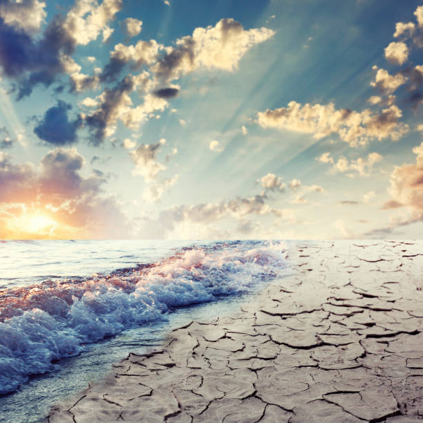 вода и трещиноватая земля - global warming cracked dirt earth стоковые фото и изображения