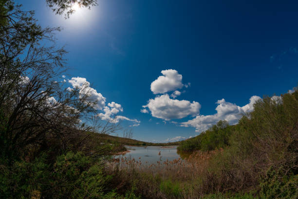 Bird Nature Reserve in Malta - landscape of a man made lake with foliage and shrubs ona  sunny day with blue sky and some fluffy clouds