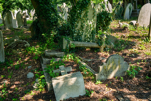 A group of old gravestones which have suffered the ravages of time and weather in a graveyard.