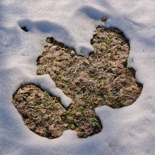 istock Melting snow on the fields in early spring. Natural spring background. 1386944065