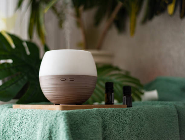 istock a working vapor-emitting aroma diffuser on a background of plants 1386945332