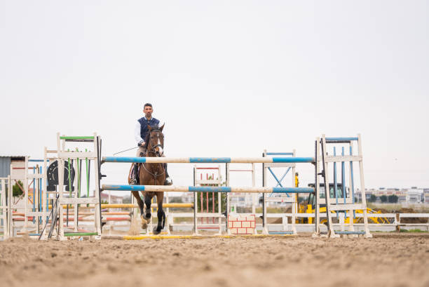 springreiten-pferd mit fahrer springt über die hürde - horse show jumping jumping performance stock-fotos und bilder