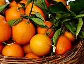 istock orange fruits in the basket 1386946719