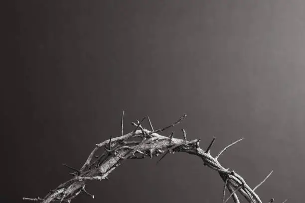 Border of partial crown of thorns on a black background with copy space