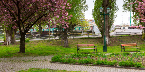 istock park in sakura blossom 1386949578