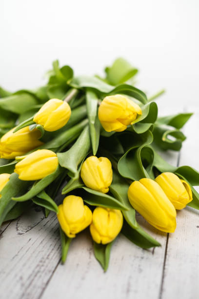 istock Yellow tulips on white wooden table. 1386949718