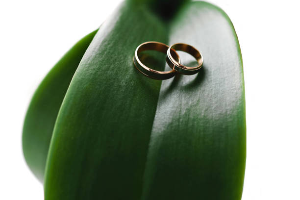 istock wedding rings on a green leaf 1386961206