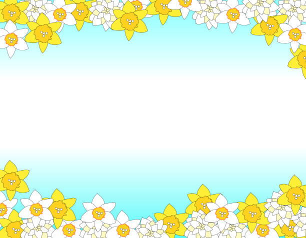 黄色い水仙の花のフレーム - daffodil spring backgrounds sky点のイラスト素材／クリップアート素材／マンガ素材／アイコン素材