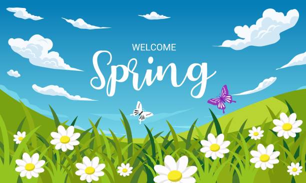 春の背景、花、草、蝶、青い空のある風景。ベクターイラストレーション。 - spring grass cloud butterfly点のイラスト素材／クリップアート素材／マンガ素材／アイコン素材