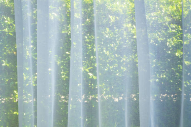 istock Abstract blur curtain window with green garden background 1386973012