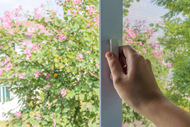 istock Hand hold mosquito net wire screen handle on house window 1386973550