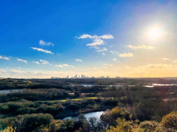 istock the hague skyline and dunes over a blue sky 1386973724