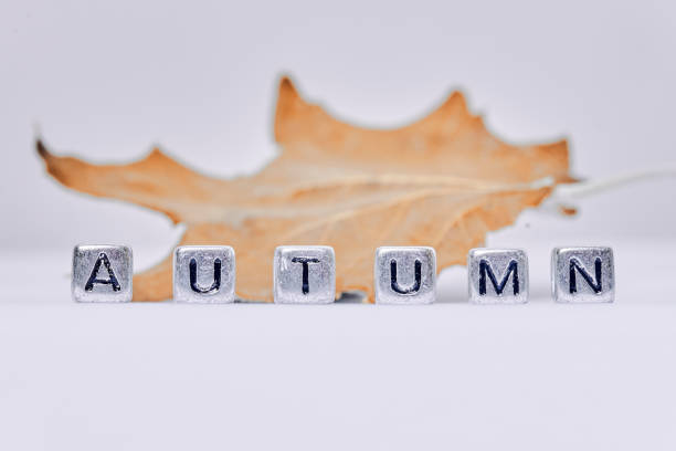 Autumn word on the white background and fall leaf