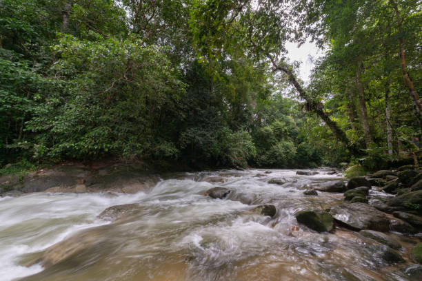 istock Beautiful water fall cascade at Malaysia forest 1386976174